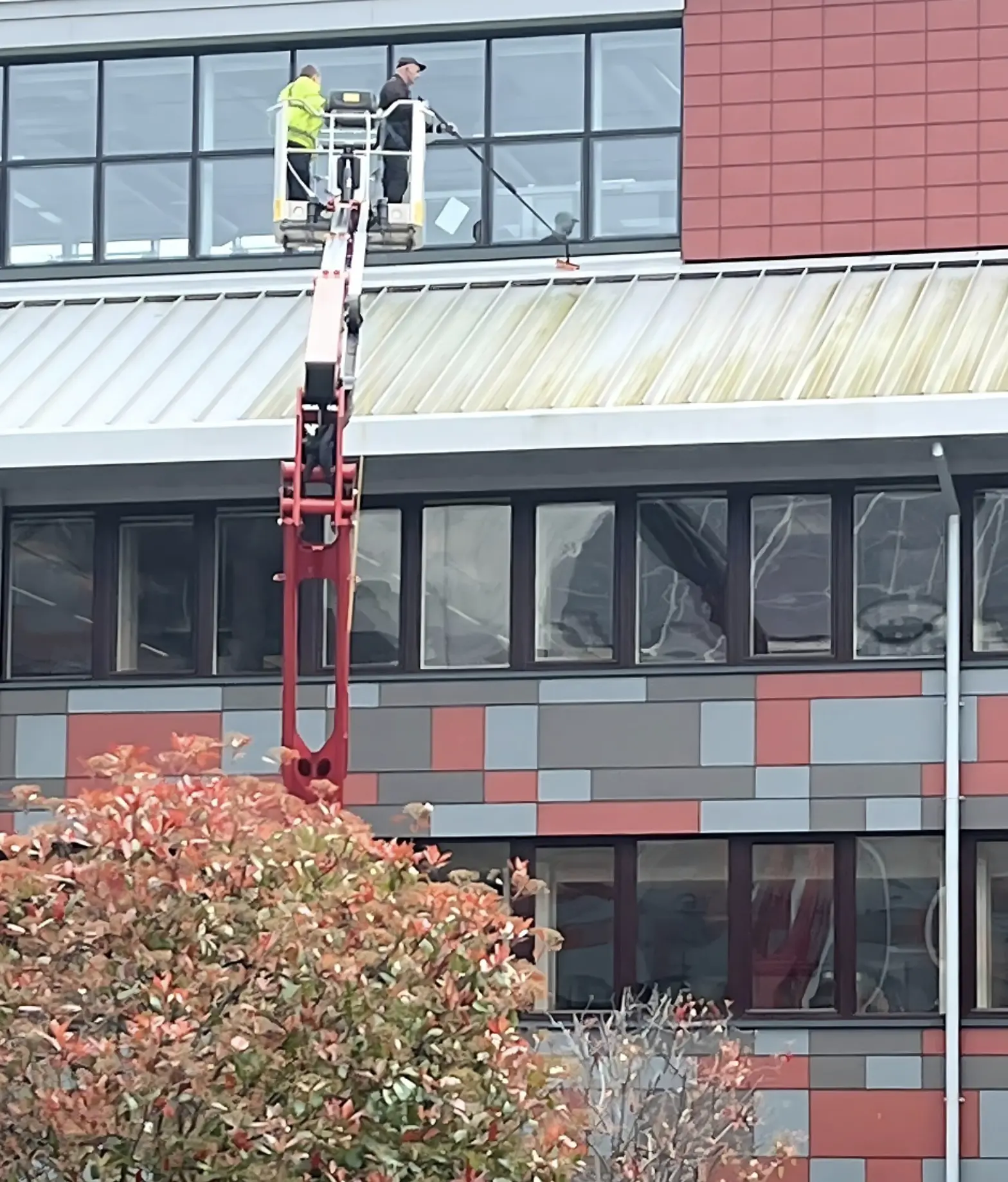 Are professional window cleaners worth it?