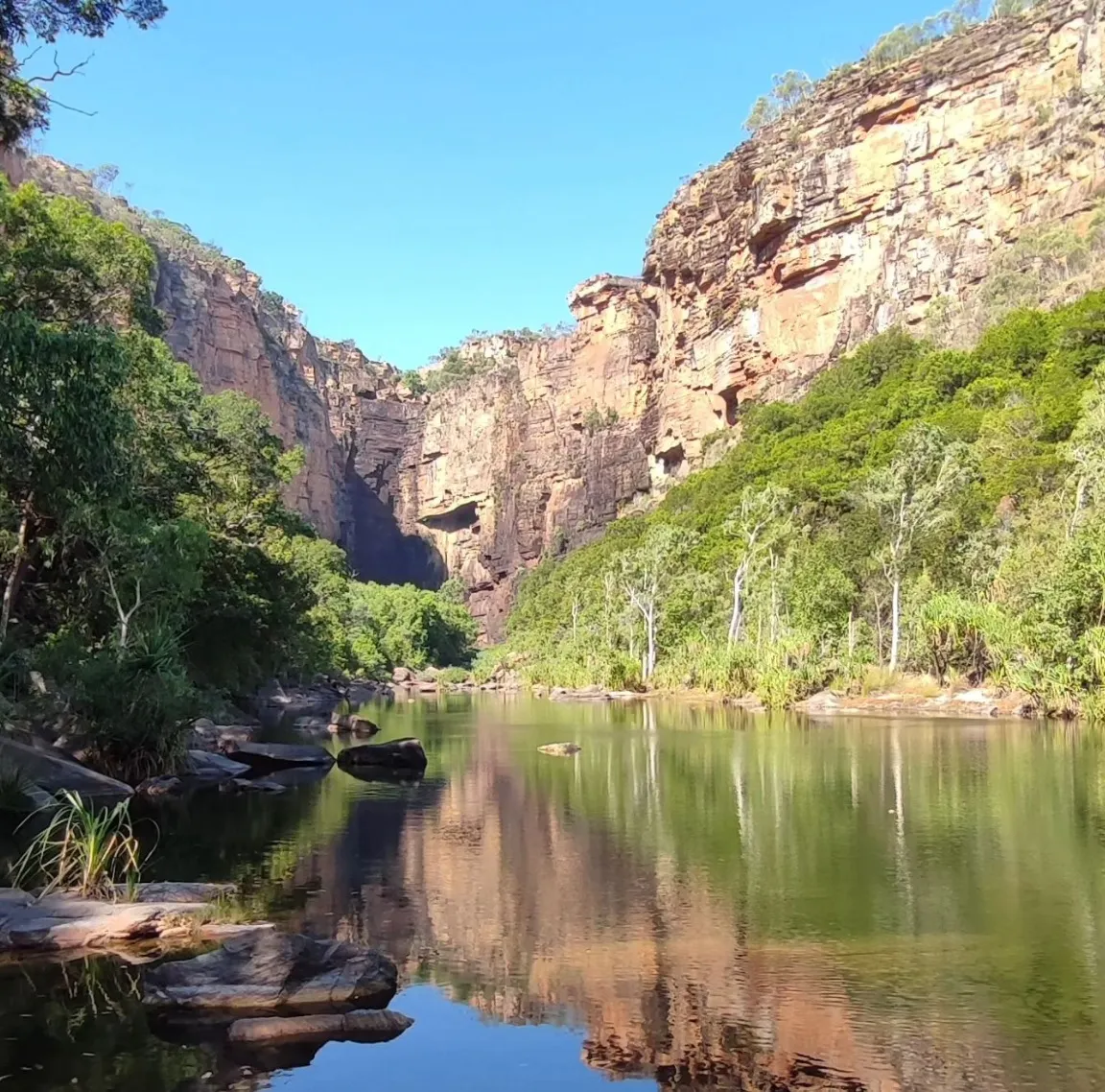 Kakadu