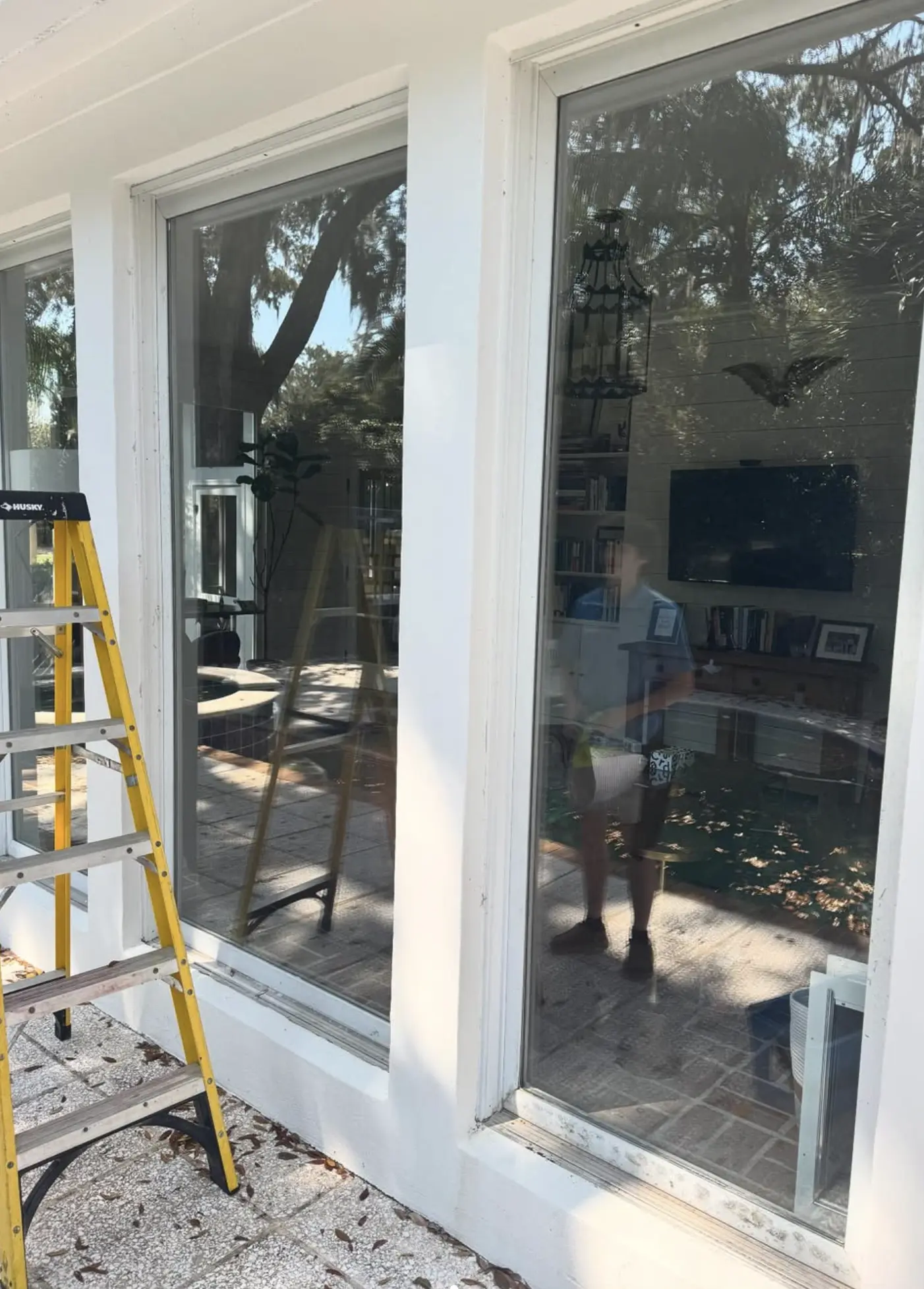 Professional Window Cleaning
