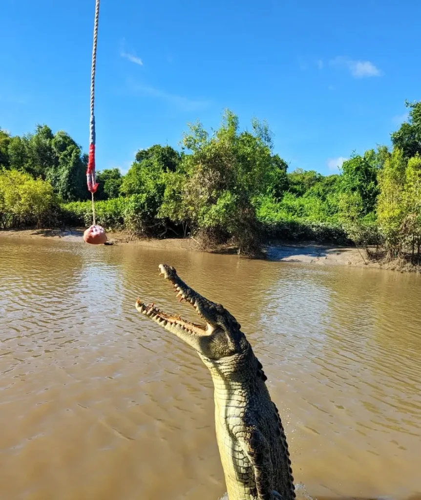 The Adelaide River