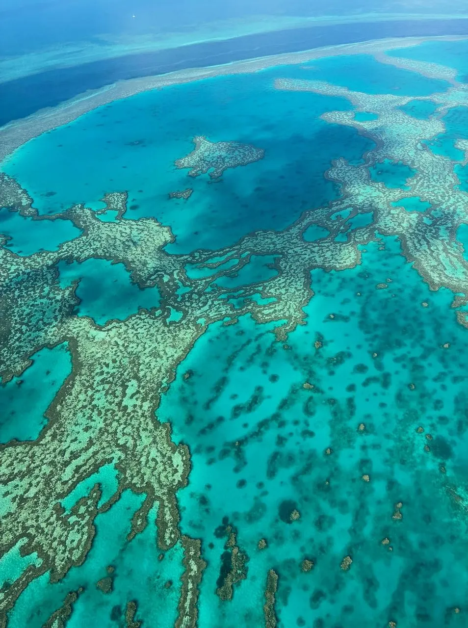 Backyard Bounty | Why You Should Go To The Great Barrier Reef In The Rain? Why You Should Go To The Great Barrier Reef In The Rain