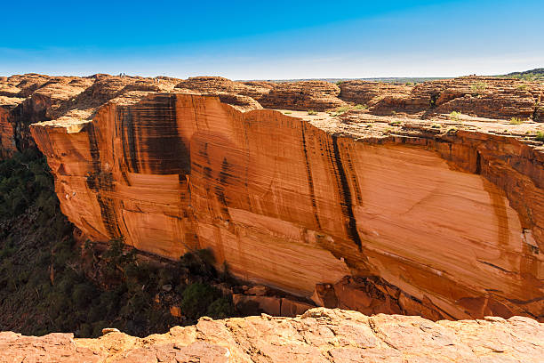 Experience the Majestic Beauty of the Australian Outback on a Kings Canyon Tour from Uluru