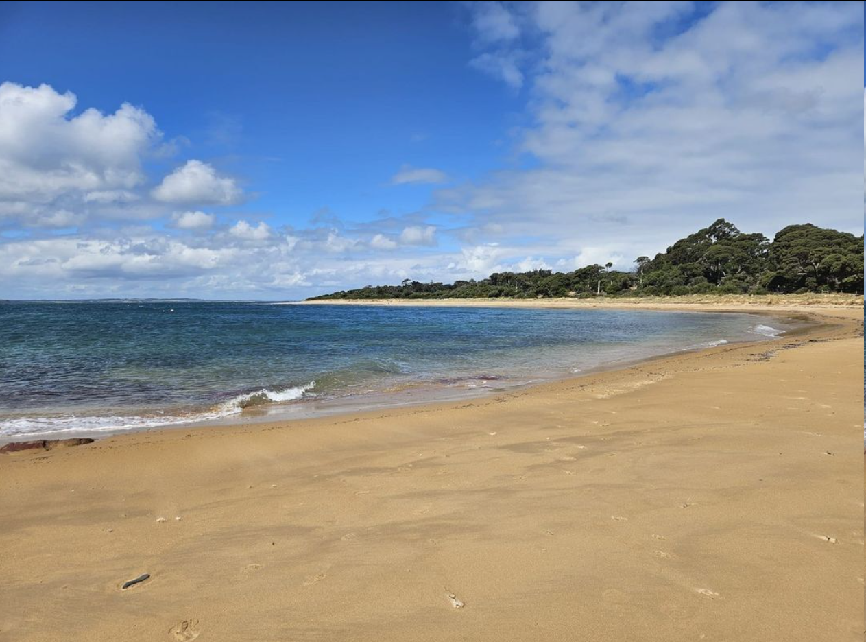 Discover the Stunning Landscapes of Phillip Island on a Day Trip