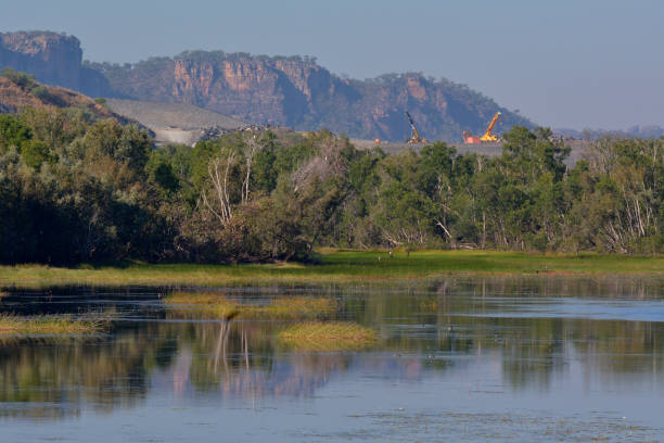 Backyard Bounty | Discover the Wonders of Kakadu National Park: Top Attractions & Activities